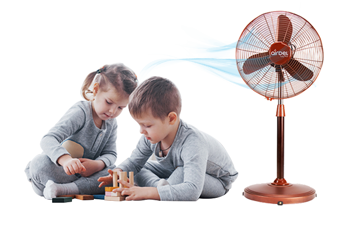 Ceiling Fan